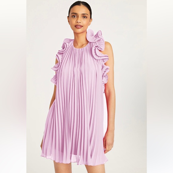 AMUR Dresses & Skirts - AMUR Mimi pleated backless mini dress